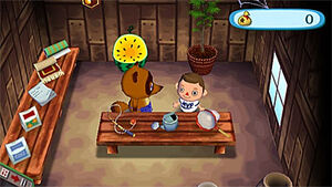 Animal Crossing: 10 Fun Facts You Might Not Know